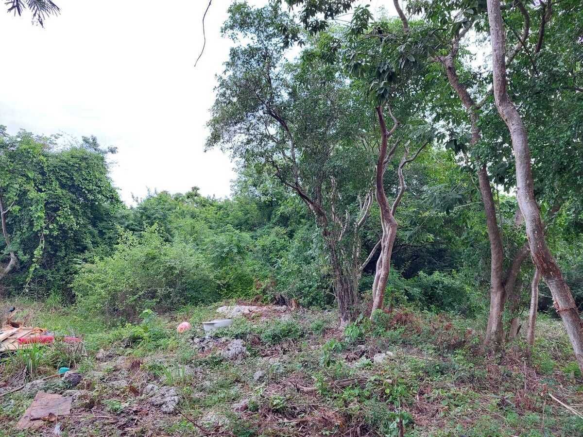 Commercial Land for Sale on Av. Tulum, Cancún