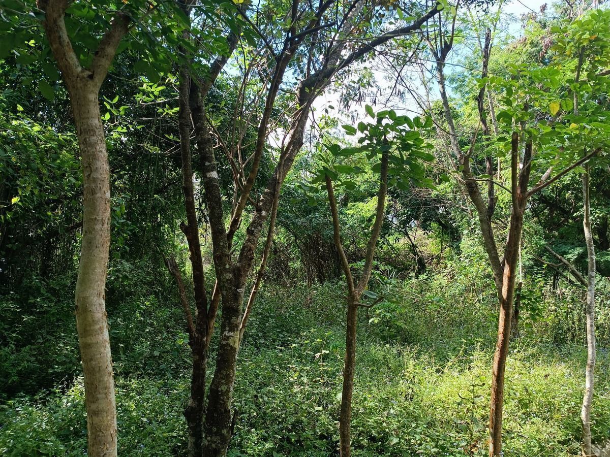 Terreno en Venta en Ticopó, Acanceh, Yucatán - HI2501340