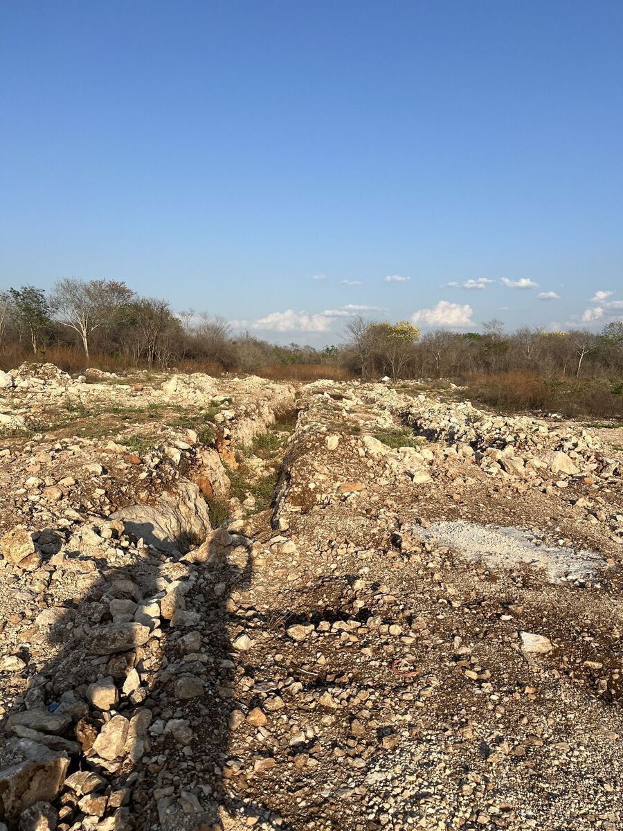 Terreno en venta en Santa Cruz