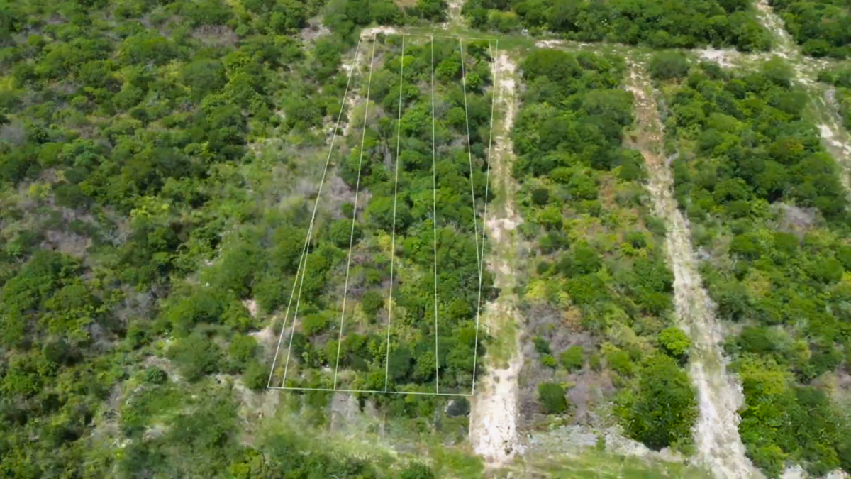 Terreno en venta en Santa Cruz