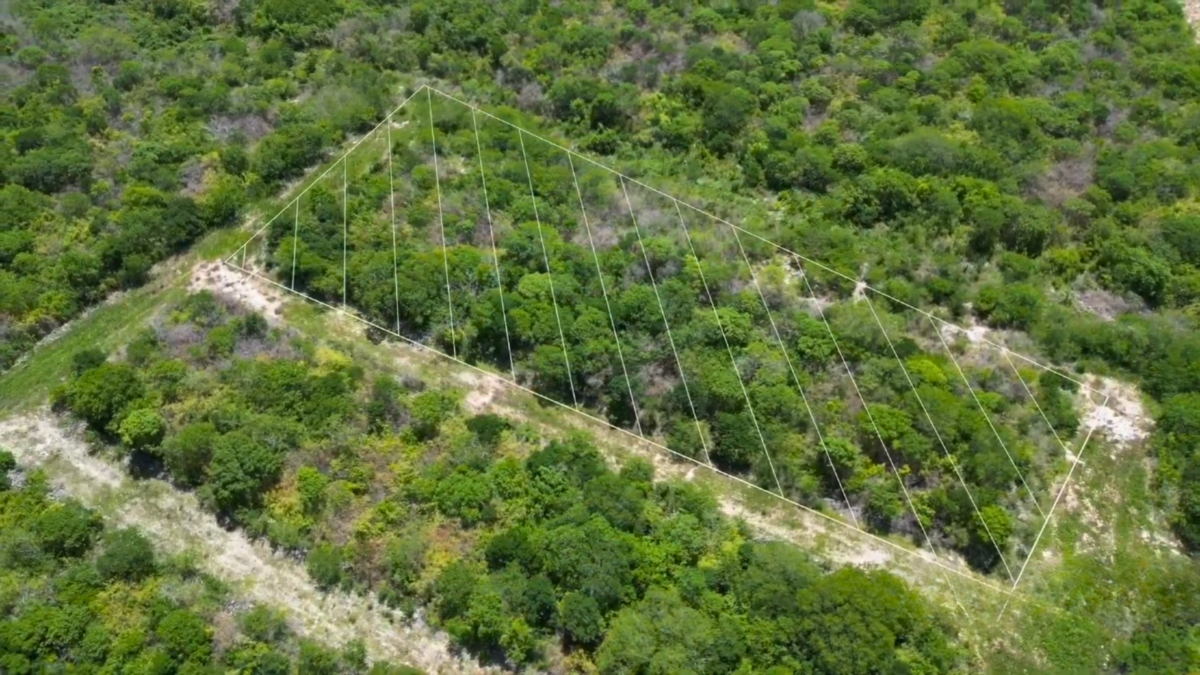 Terreno en venta en Santa Cruz