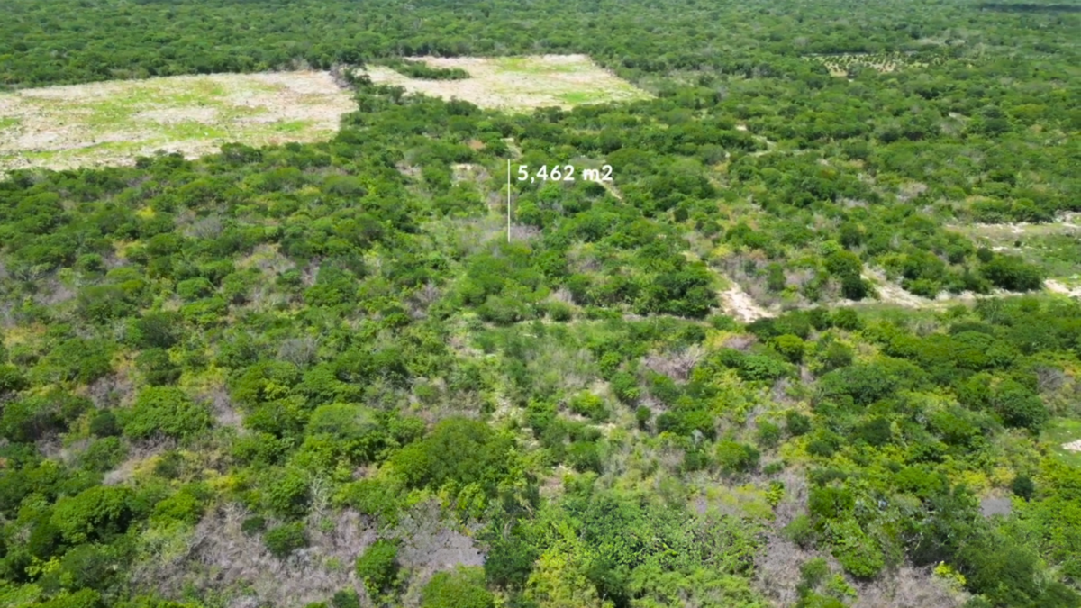 Terreno en venta en Santa Cruz