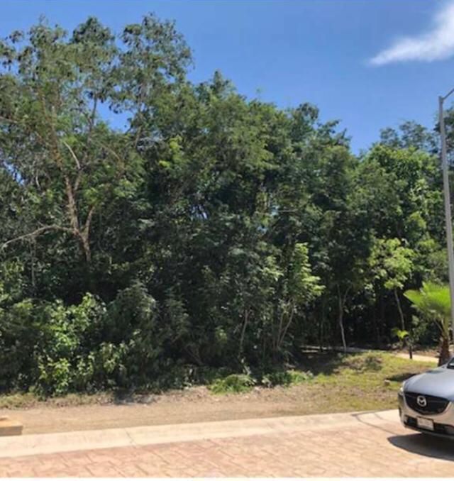 ¡Construye la casa de tus sueños en Senderos de Mayakoba en Playa del Carmen!