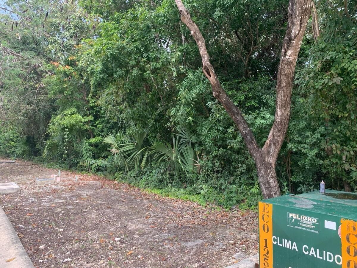 ¡Construye la casa de tus sueños en Senderos de Mayakoba en Playa del Carmen!