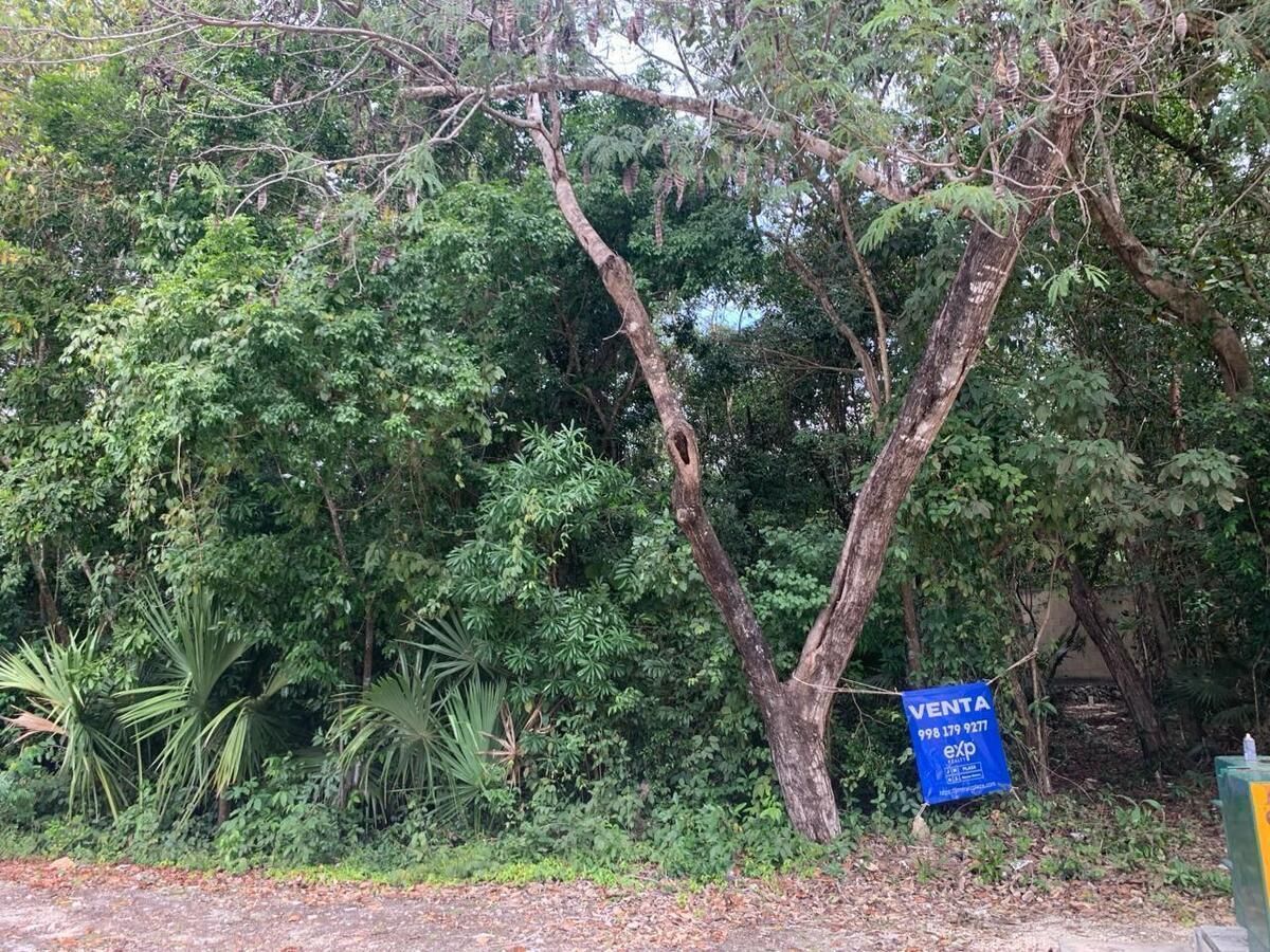 ¡Construye la casa de tus sueños en Senderos de Mayakoba en Playa del Carmen!
