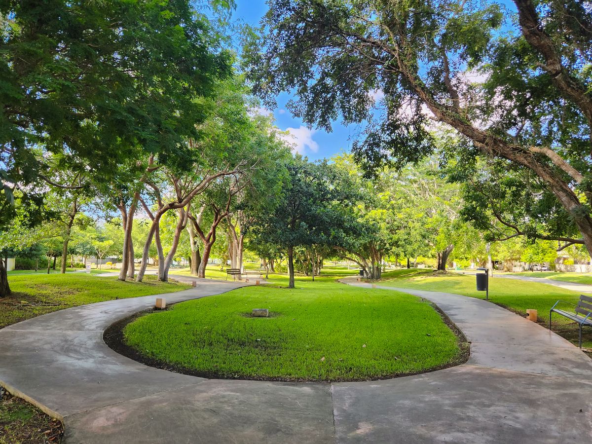 Lote residencial en venta en Privada Roble, Parque Central
