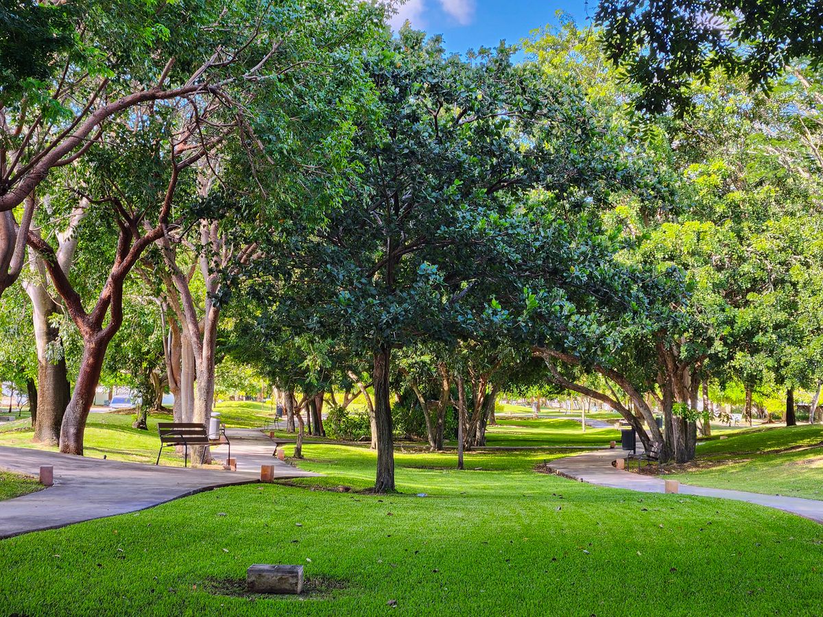 Lote residencial en venta en Privada Roble, Parque Central