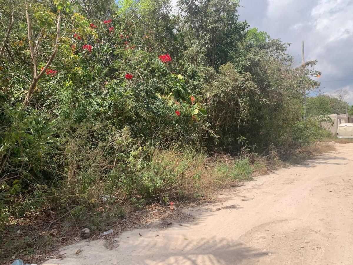 Terreno esquinero junto a la AV. Prolongacion de la Luna, Cancun