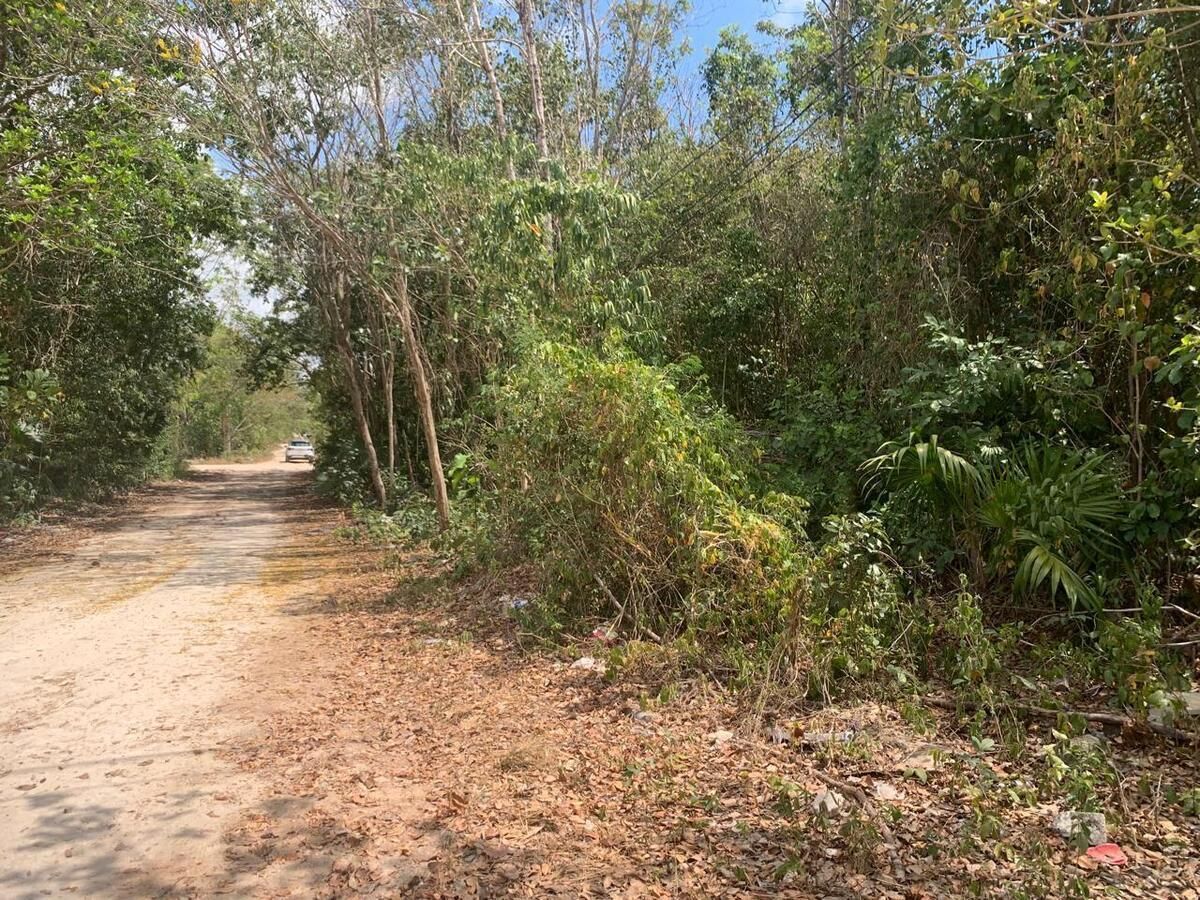 Terreno esquinero junto a la AV. Prolongacion de la Luna, Cancun