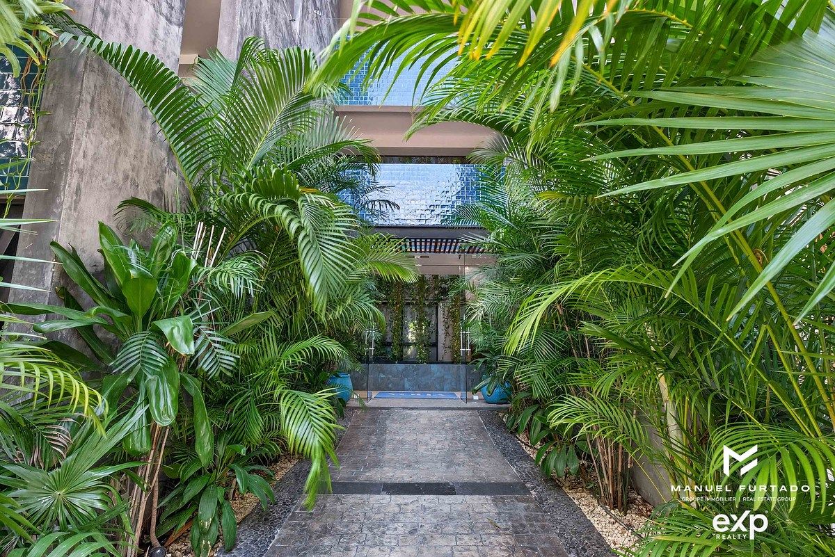 VOLTA - Studio Opportunity in Playa del Carmen Centro