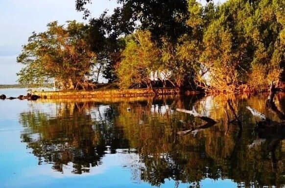 Terreno en venta: Tu Paraíso Frente a la Laguna de Bacalar te Espera
