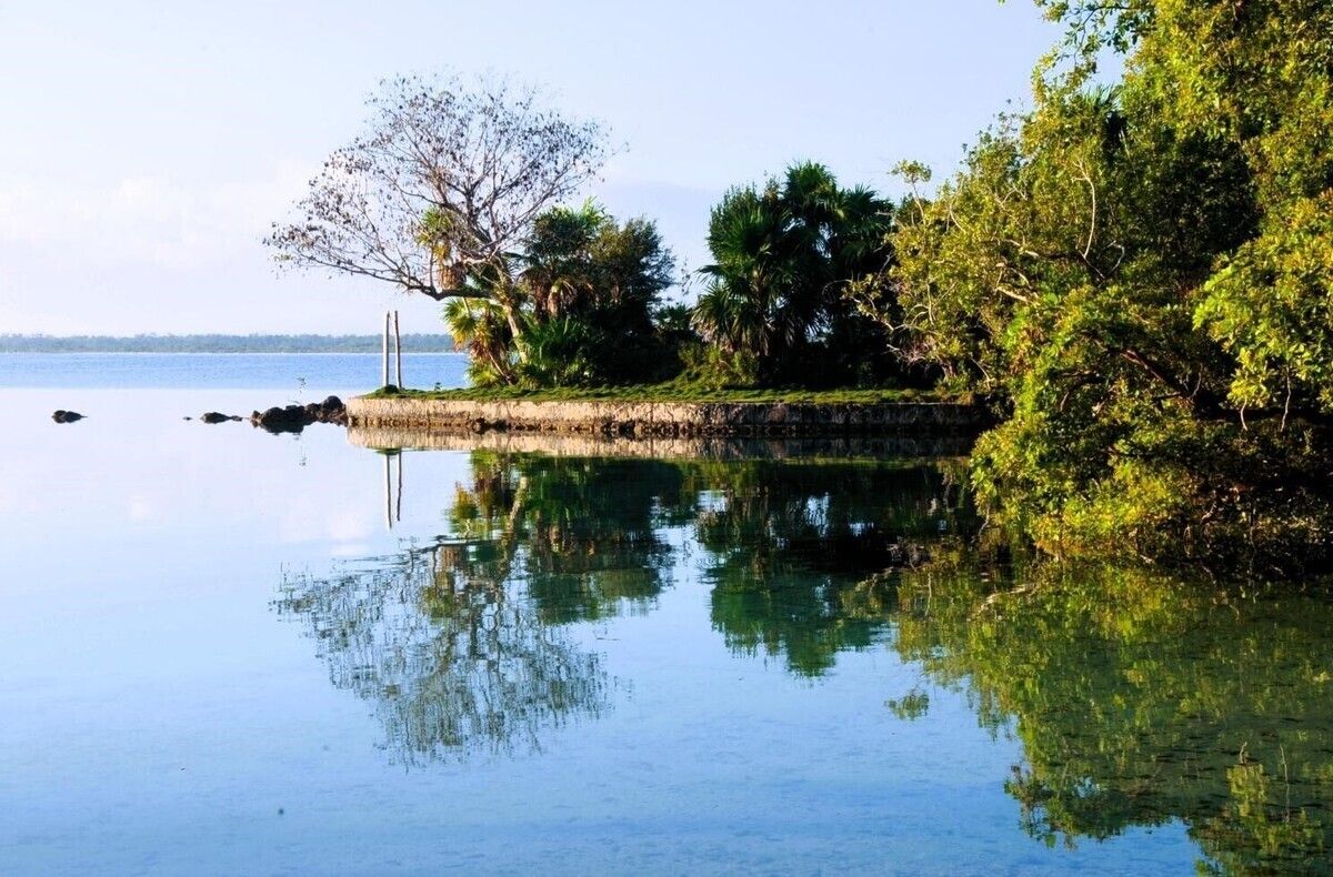 Terreno en venta: Tu Paraíso Frente a la Laguna de Bacalar te Espera