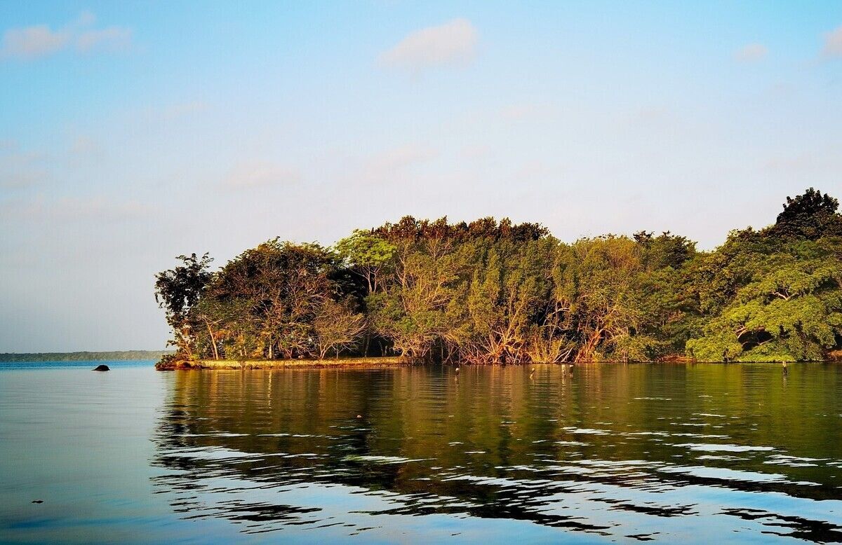 Terreno en venta: Tu Paraíso Frente a la Laguna de Bacalar te Espera