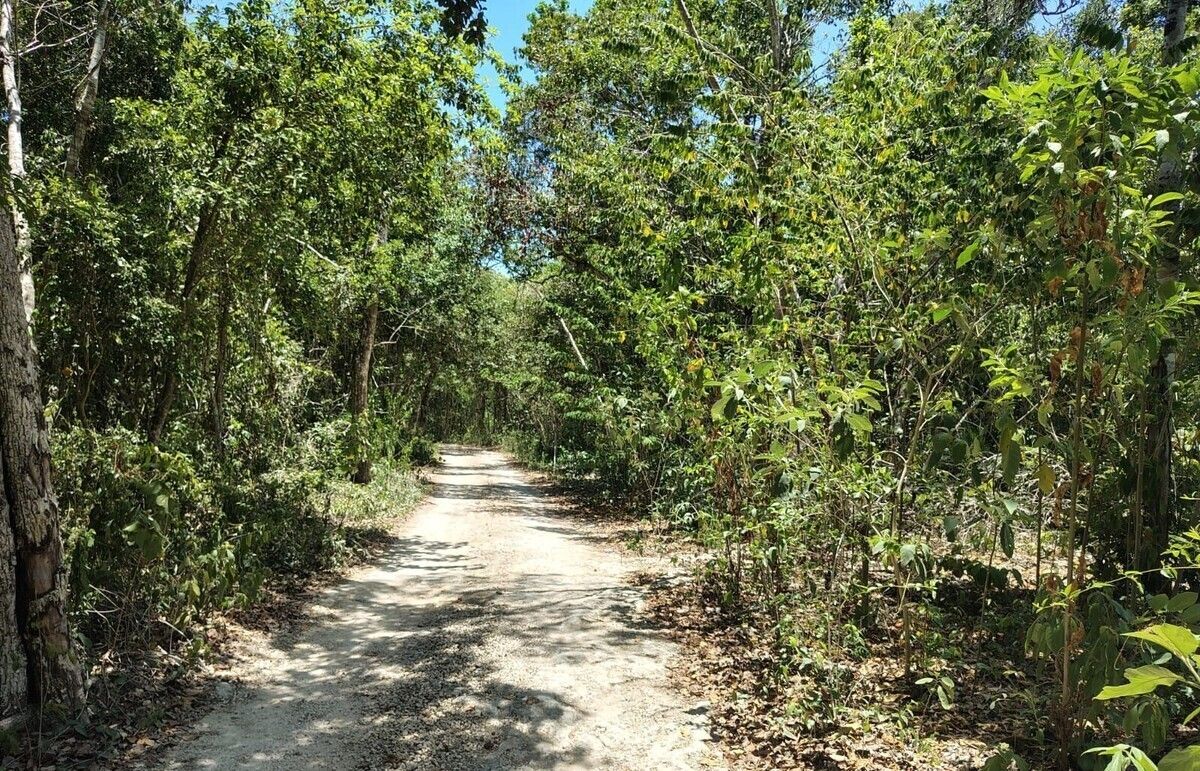Terreno en Venta en Akumal: Naturaleza, Paz y Conexión