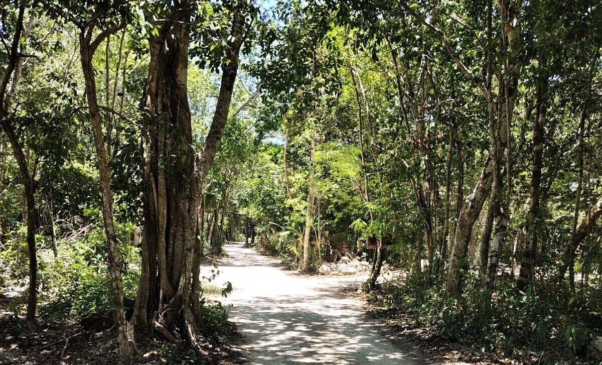 Terreno en Venta en Akumal: Naturaleza, Paz y Conexión