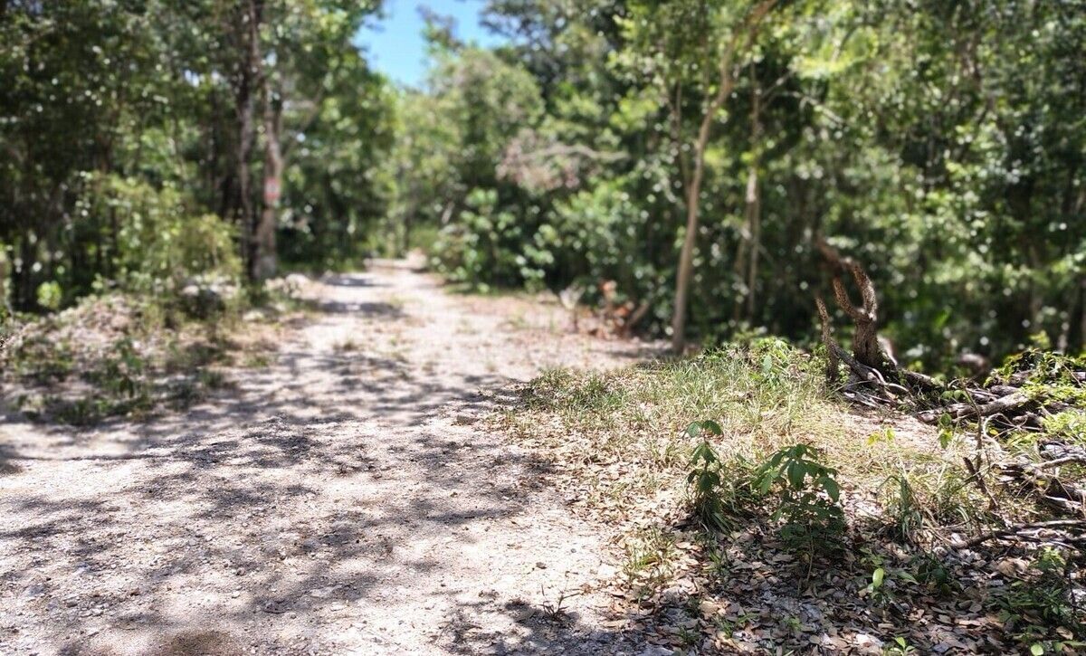Terreno en Venta en Akumal: Naturaleza, Paz y Conexión