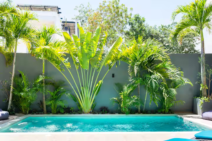 Casa Lulu – Villa de lujo con diseño tropical, paneles solares y piscina privada