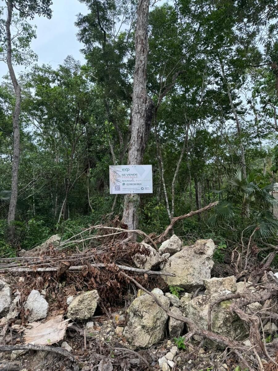 Lote Residencial  Tulum – Region 15