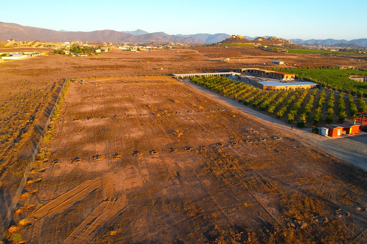 Terreno en Venta A-5, Porvenir, Valle de Guadalupe, Ensenada, B.C.