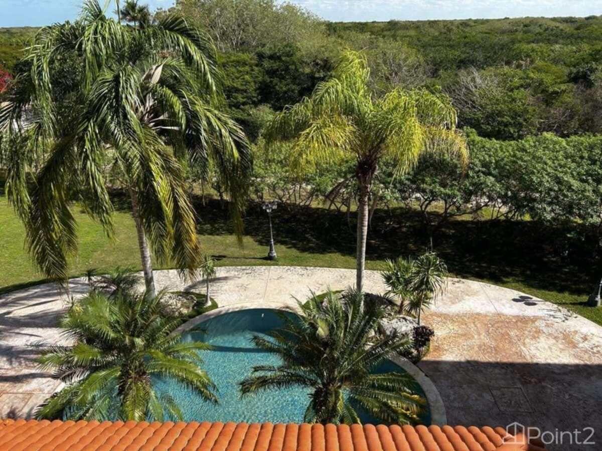 Jungle Oasis minutes from the Beach