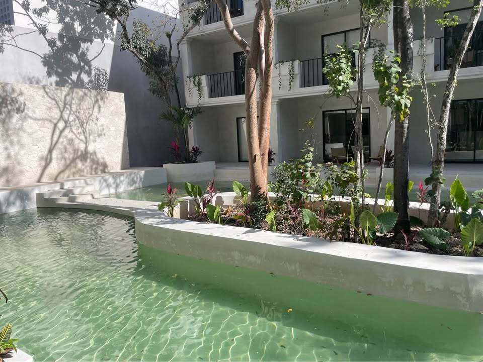Estudio swim up completamente amueblado