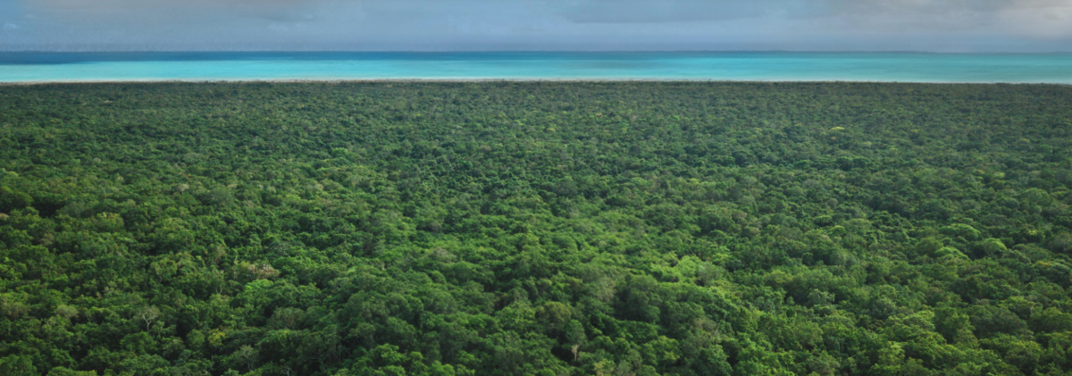 Macro-Lote para desarrollo atrás de Calica, Playa del Carmen ID2732