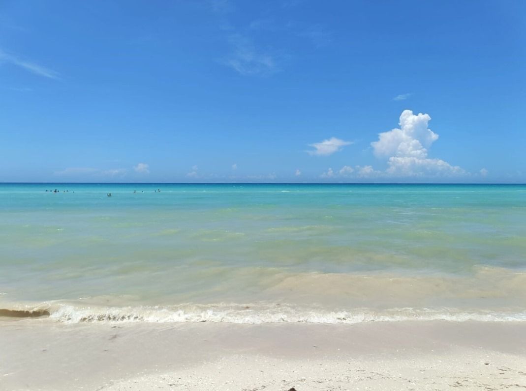 Terreno en venta en Primera Línea de Playa Sisal - HI2511412