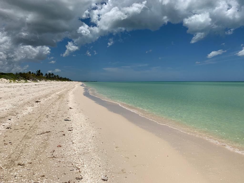 Terreno en venta en Primera Línea de Playa Sisal - HI2511412