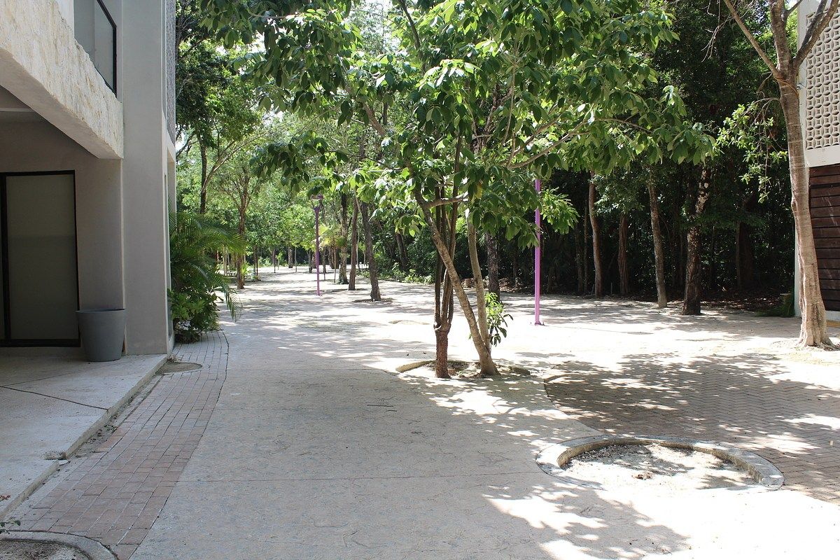 LOCAL EN RENTA (ALDEA ZAMÁ, TULUM) ID3119