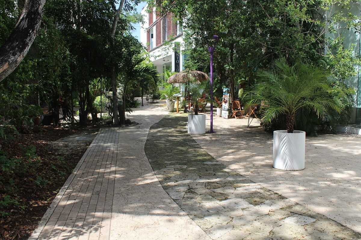 LOCAL EN RENTA (ALDEA ZAMÁ, TULUM) ID3119