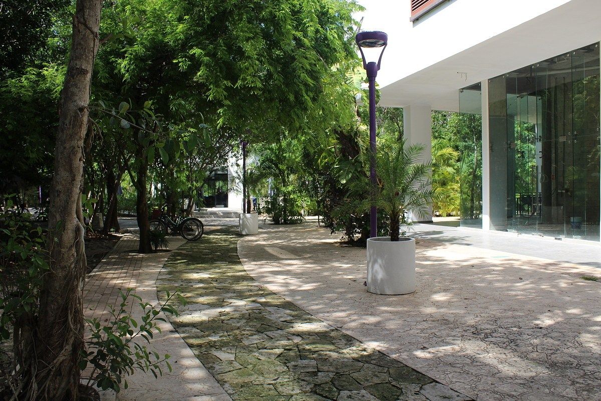LOCAL EN RENTA (ALDEA ZAMÁ, TULUM) ID3119