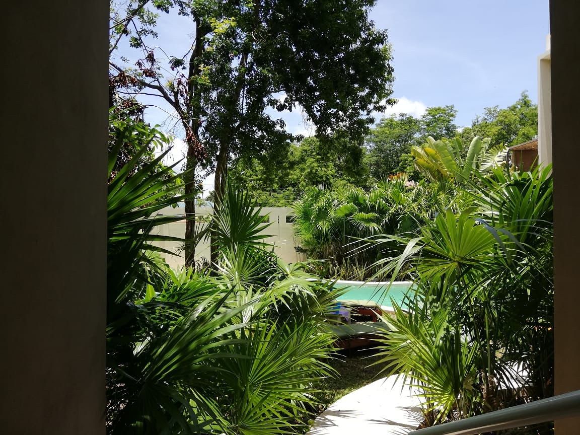 departamento en venta tulum che 15