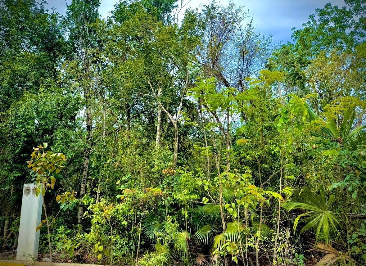 Lote en Venta – Región 15, Tulum | Ideal para Villa de Lujo