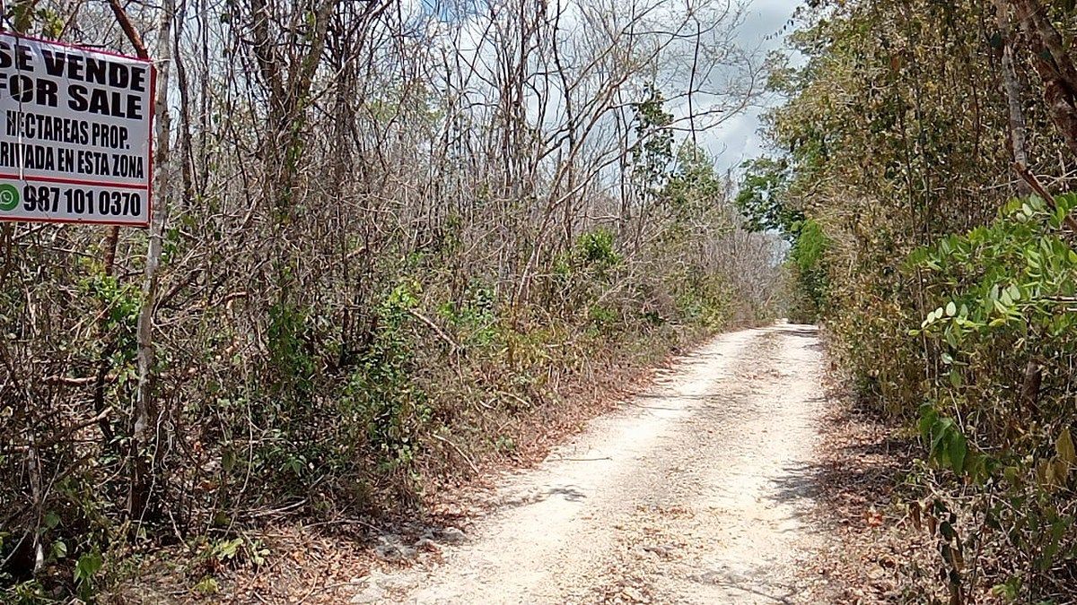 Terreno de 5 hectáreas en Playa Del Carmen, Q. Roo. RV-001