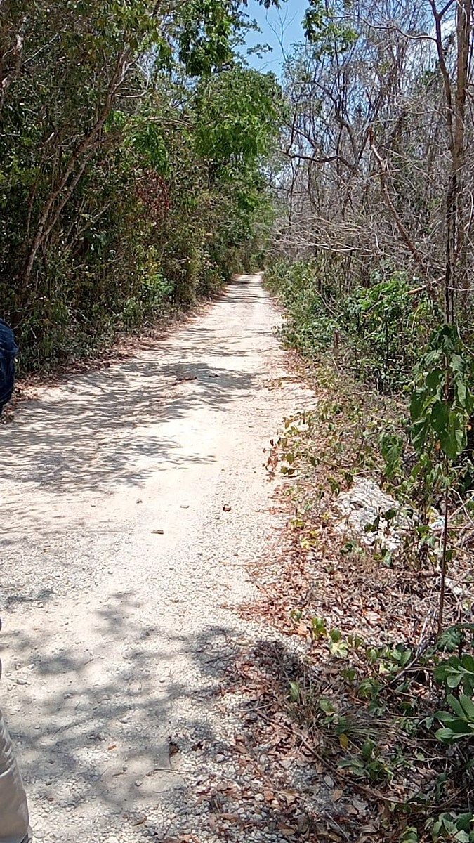 Terreno de 5 hectáreas en Playa Del Carmen, Q. Roo. RV-001