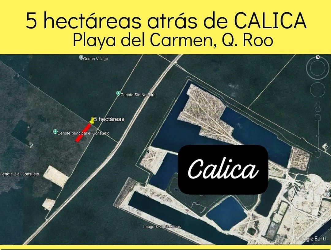 Terreno de 5 hectáreas en Playa Del Carmen, Q. Roo. RV-001