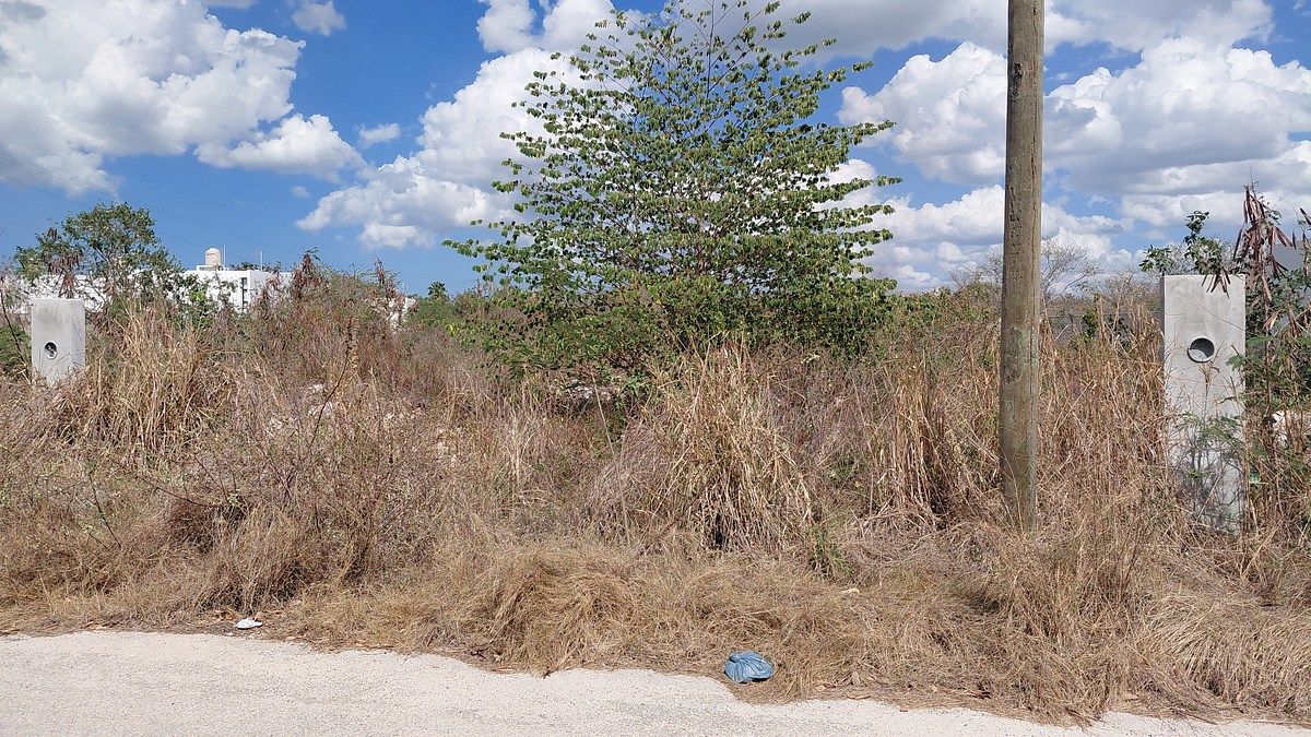 Terreno en Dzityá: El Espacio que tu Familia Merece