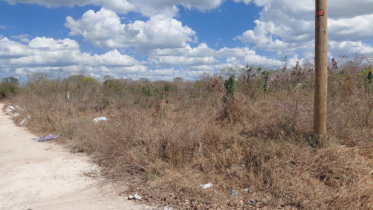 Terreno en Dzityá: El Espacio que tu Familia Merece