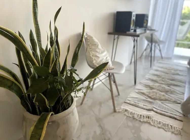 Penthouse Studio con Rooftop Privado y Jacuzzi | Región 15 Tulum | A Minutos de