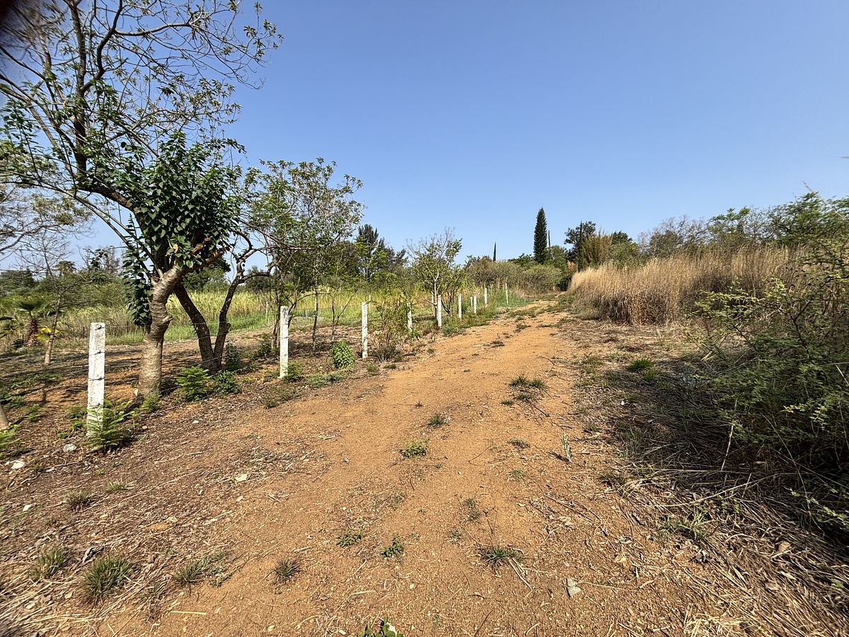 Venta de terreno residencial, San Agustín Etla, Oaxaca