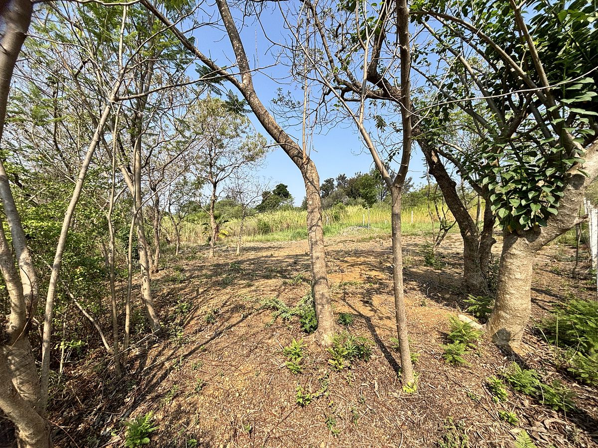 Venta de terreno residencial, San Agustín Etla, Oaxaca