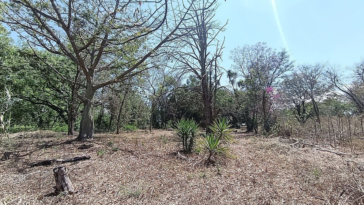 Terreno en Venta en Zaachila