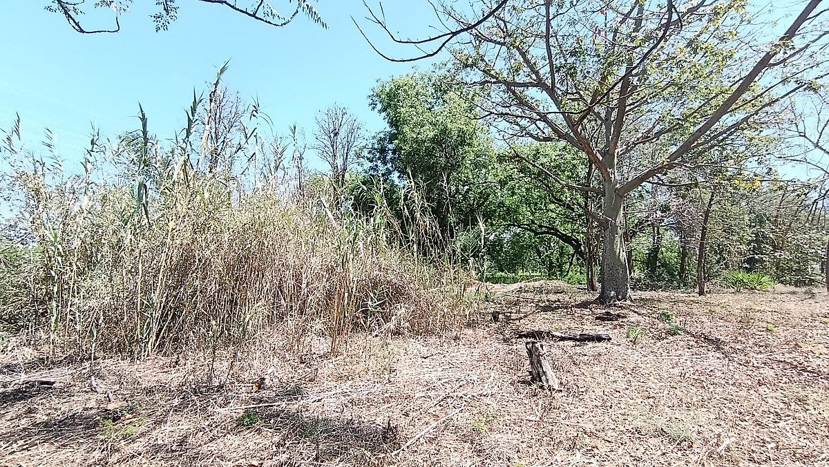 Terreno en Venta en Zaachila