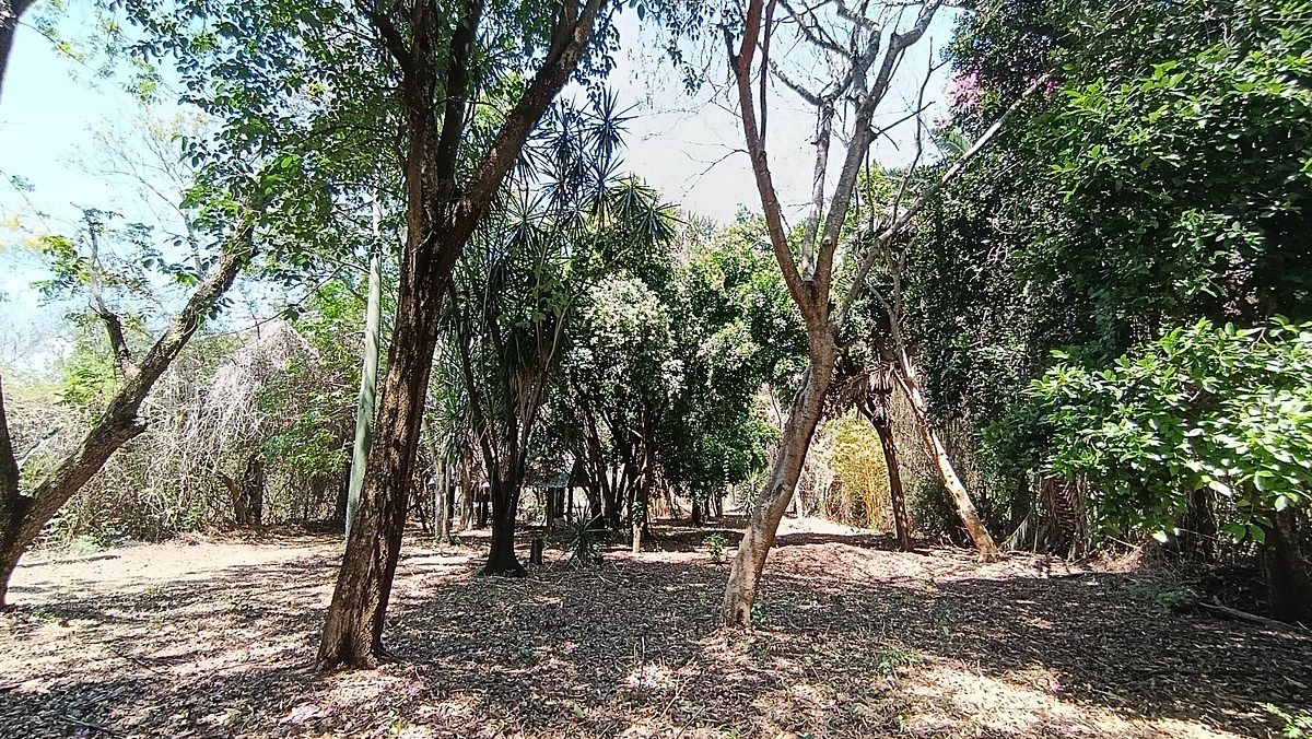 Terreno en Venta en Zaachila