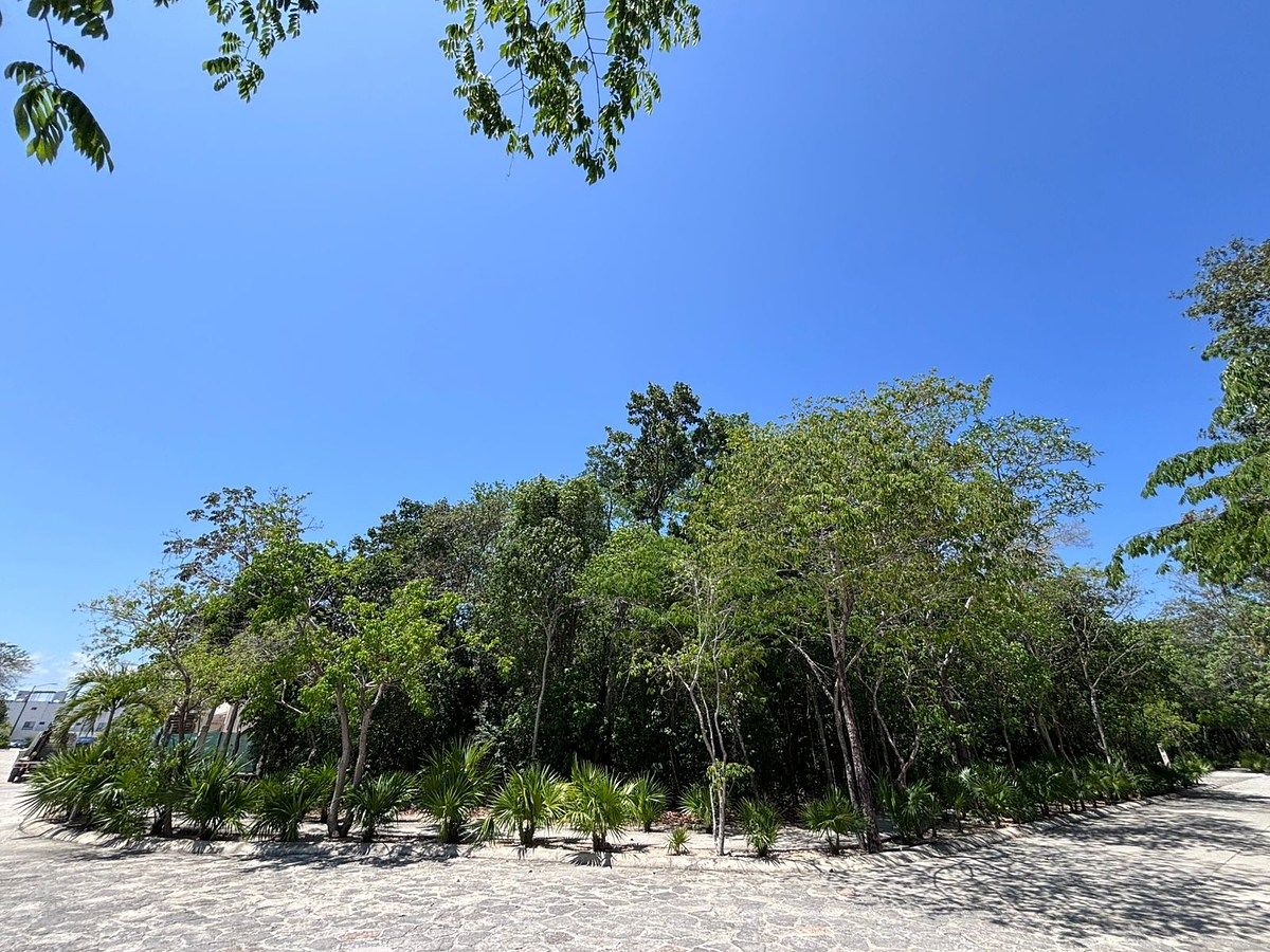 Terreno en Riviera Maya