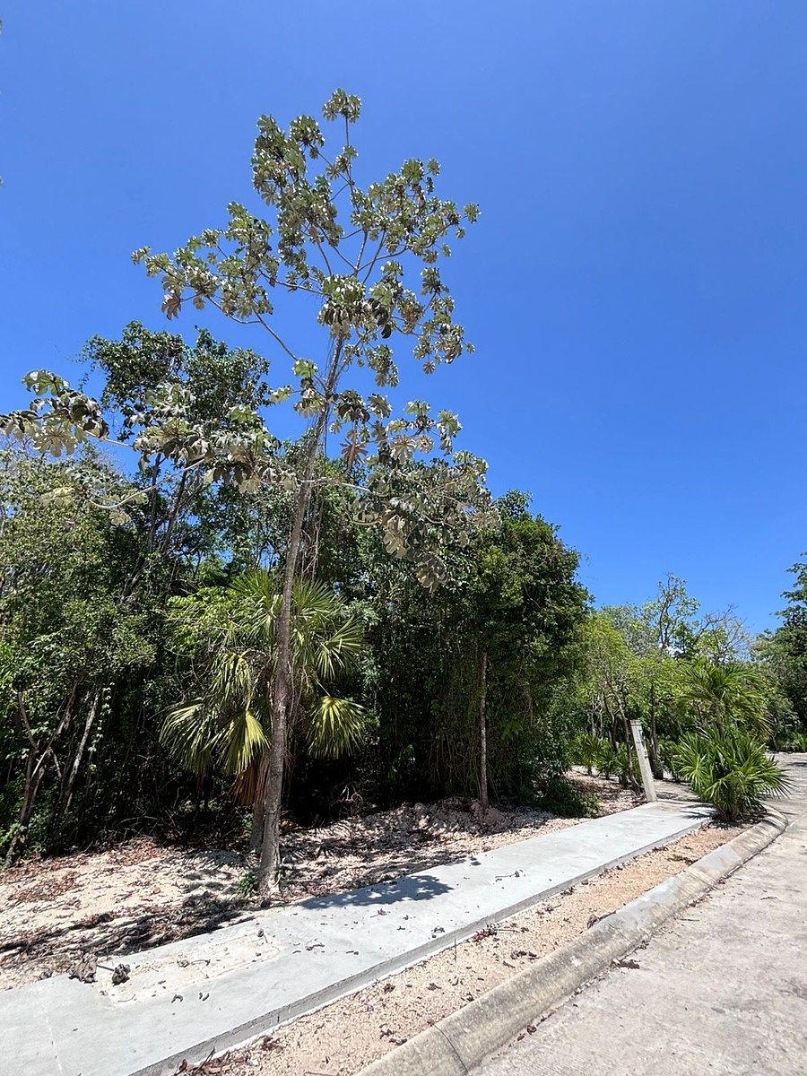 Terreno en Riviera Maya