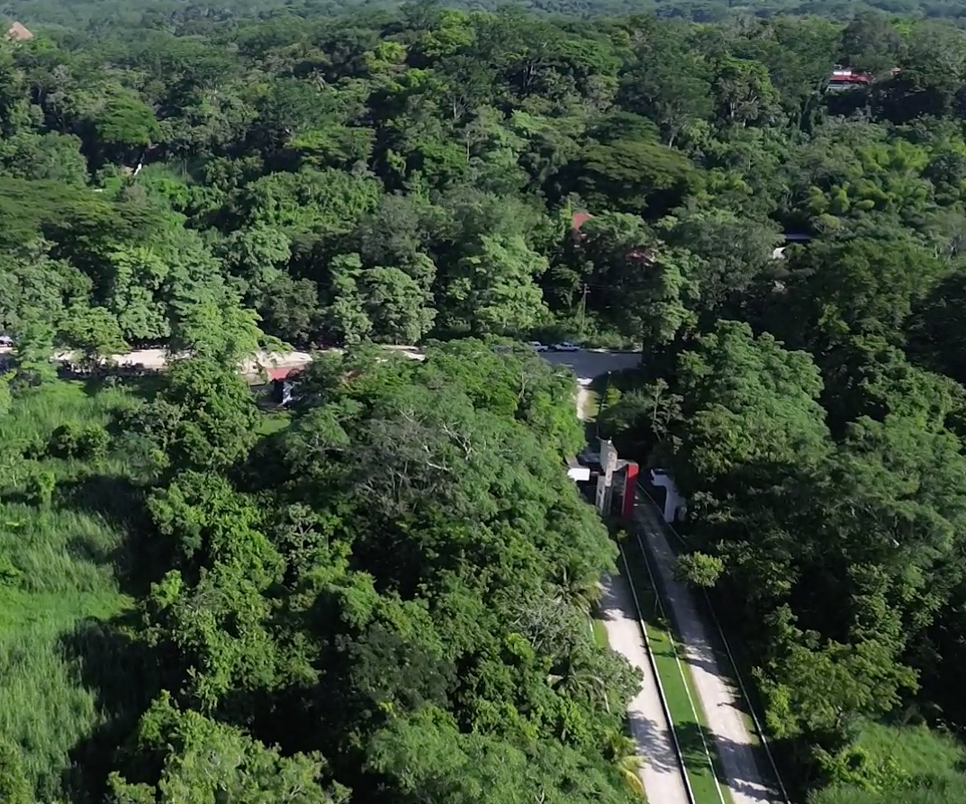 Terreno hotelero comercial Palenque, Chiapas ID3181