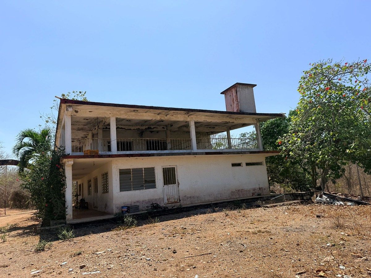 Rancho El Huapinolar | 116 Hectares of Productive Agricultural Land | Los Llanos