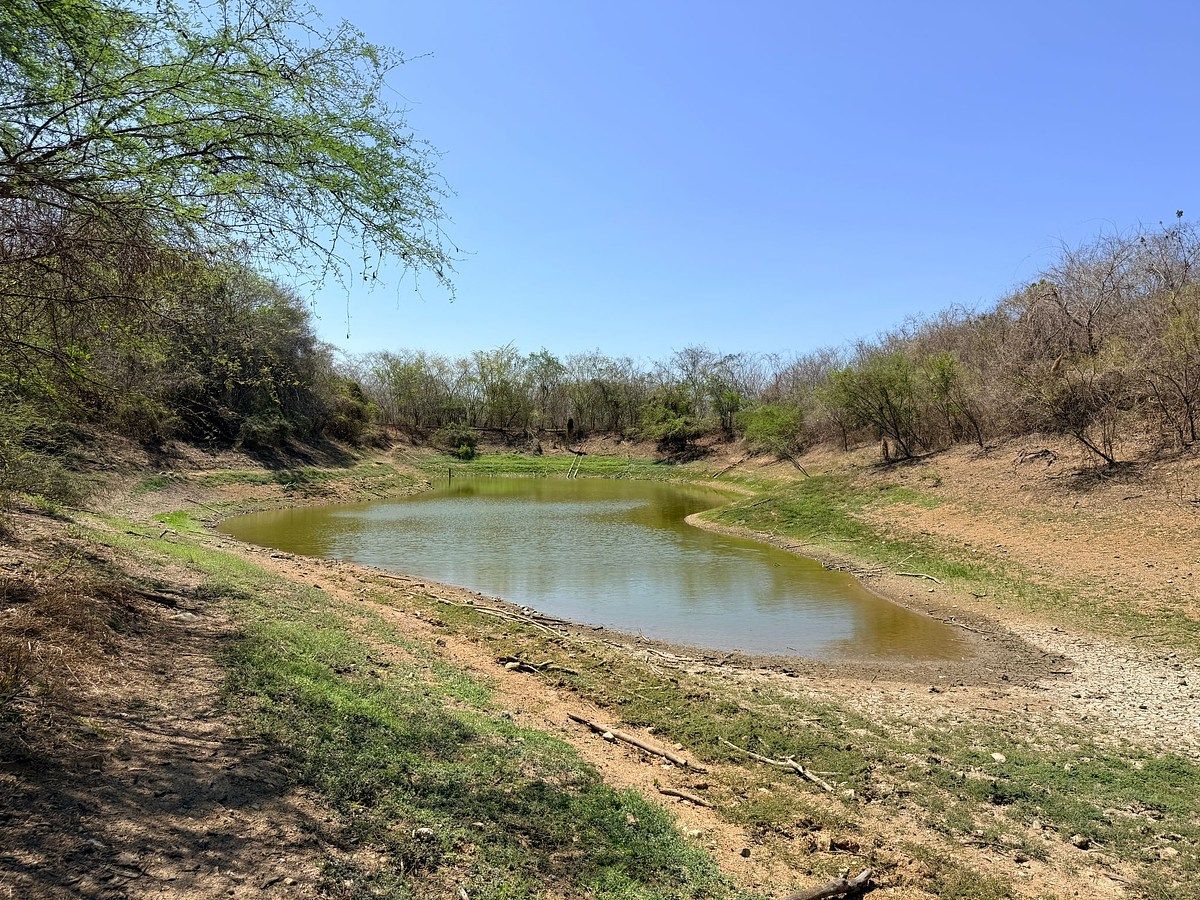 Rancho El Huapinolar | 116 Hectares of Productive Agricultural Land | Los Llanos