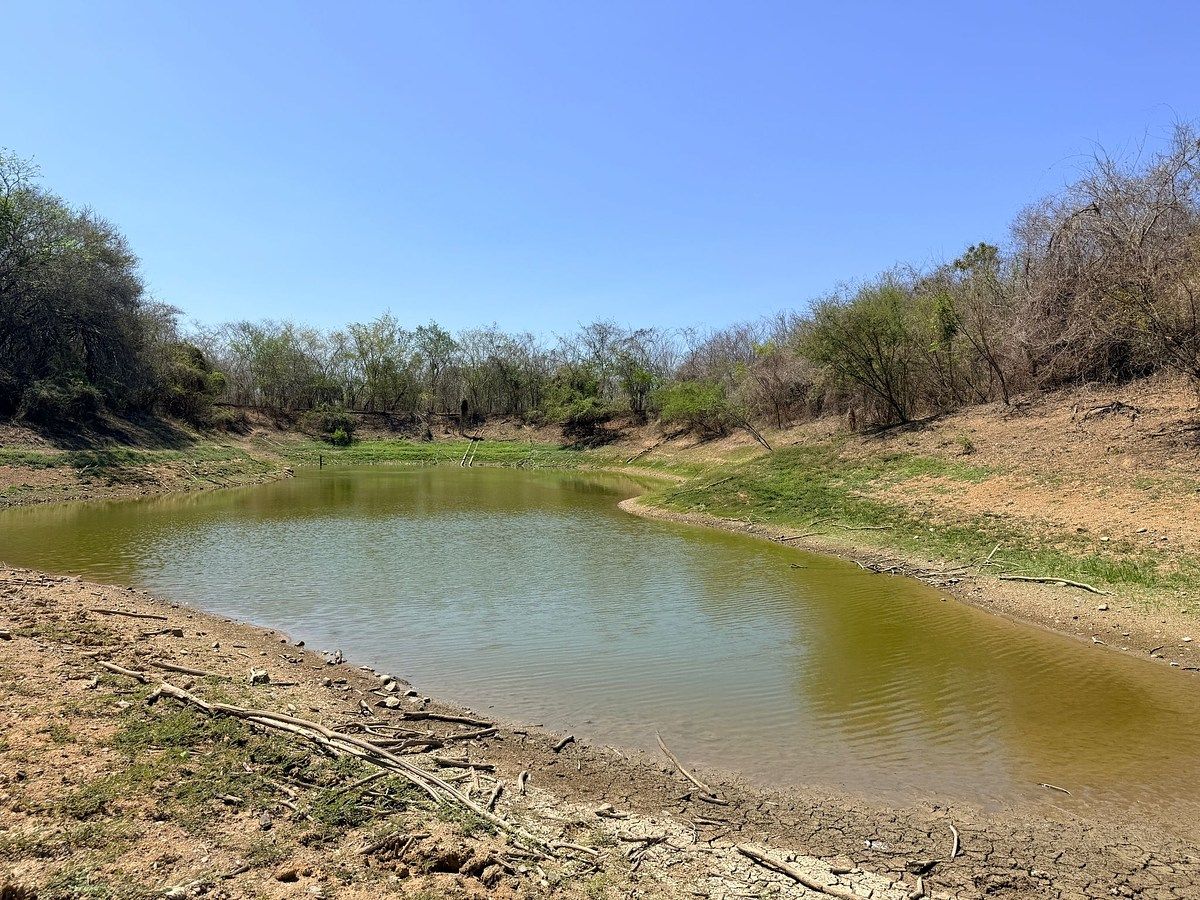 Rancho El Huapinolar | 116 Hectares of Productive Agricultural Land | Los Llanos